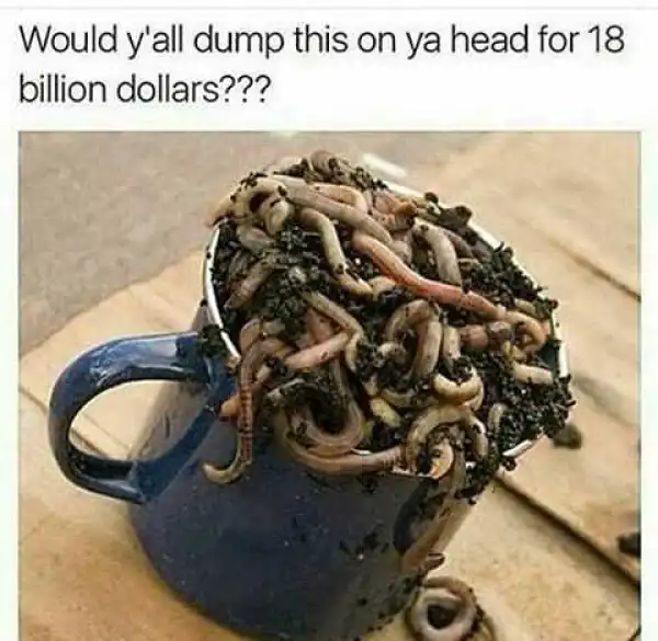 Would you dump this on your head for $18billion dollars?
